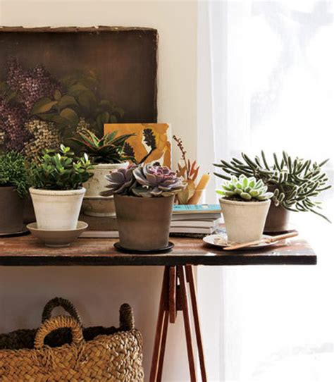 Rock is an ideal hardscape material that can bring out the beauty of your plants and add definition and a sense of structure to your planted areas. Decorating with House Plants | Rated People Blog