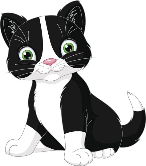 Kucing Kucing Lucu Wallpaper Kucing Animasi Kucing Kitten Cartoon