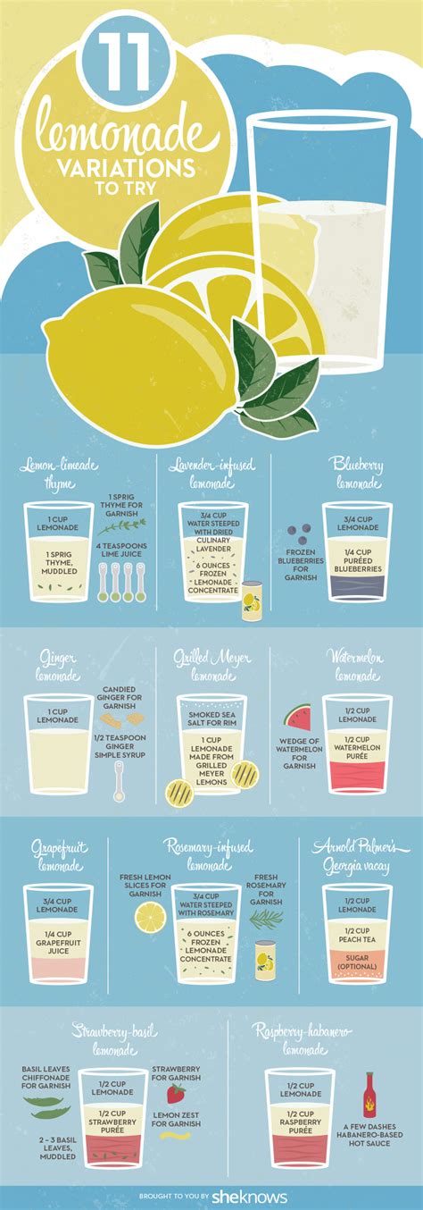 11 Simple Variations On Lemonade To Sip In The Summer Sun Sheknows