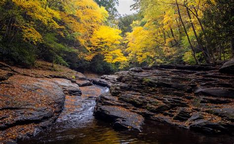 16 Of The Most Beautiful Spots To See Fall Foliage In The Laurel