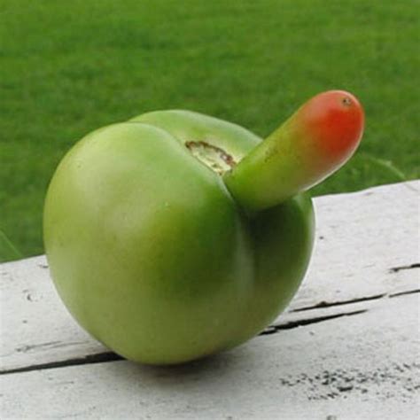 Fruits And Vegetables That Look Like Sexy Body Parts Gallery