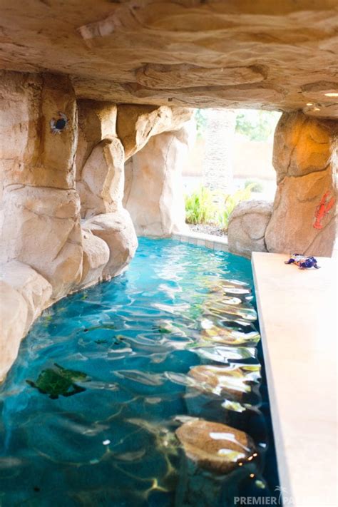 Freeform Custom Pool With Grotto Cave In Gilbert Arizona