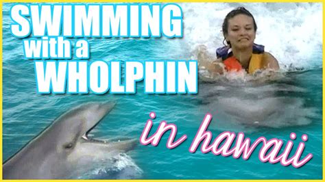 What time is it in hawaii now? I Swam With A WHOLPHIN In Hawaii!! - YouTube
