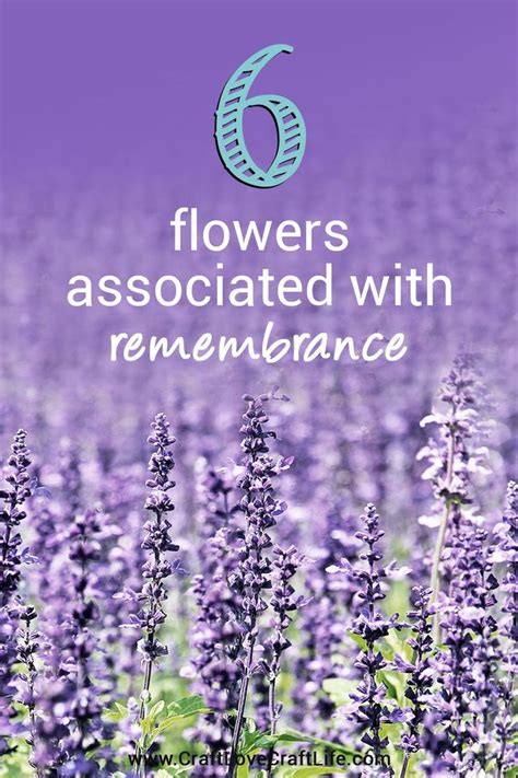 In some european countries, mums are only sent to place on graves or as a funeral arrangement. 35+ Flowers Associated with Grief and Loss | Flower ...