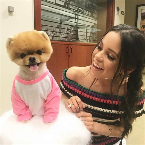 Jenna marie ortega (born september 27, 2002). Pin on Dogs