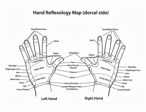 Hand Reflexology Chart Reflexology Chart Hand Therapy Acupressure