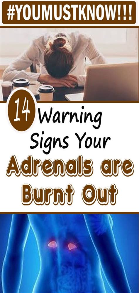 14 warning signs your adrenals are burnt out and what you need to fix them health fitness