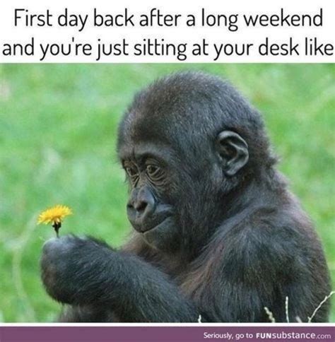 17 Funny Memes To Get You Through Monday Work Humor Funny Pictures