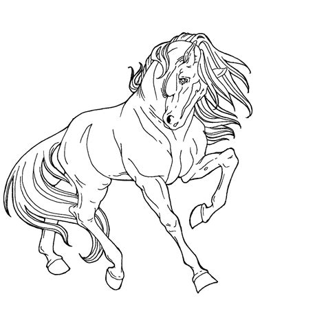 Line Drawings Of Animals | digital art drawings paintings animals