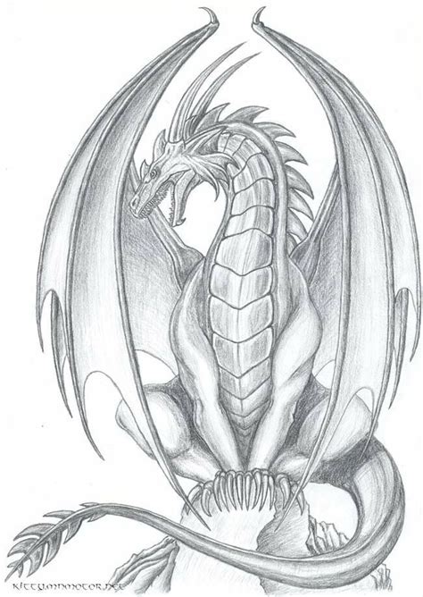 Dragon Drawings Images On 