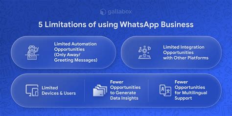 Whatsapp Business With Multiple Users A Beginners Guide Gallabox Blog