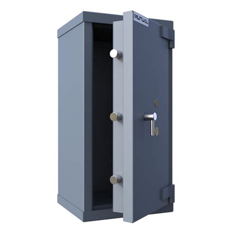 Ds 2 Strongroom Door Mutual Security Group