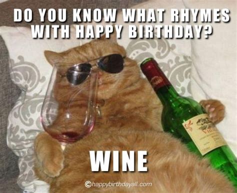 Funny Happy Birthday Wine Meme For Her Birthday Wine And Cheese Joke