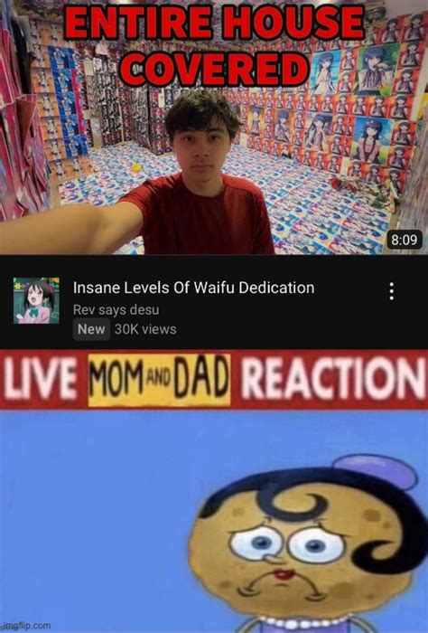 Image Tagged In Live Mom And Dad Reaction Imgflip