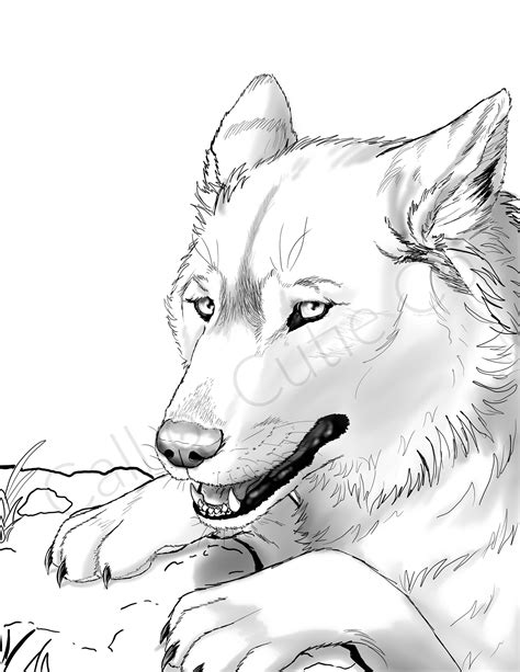 Gray Wolf Color Pagedigital Wolf Coloring Pagesanimal Coloring Pages