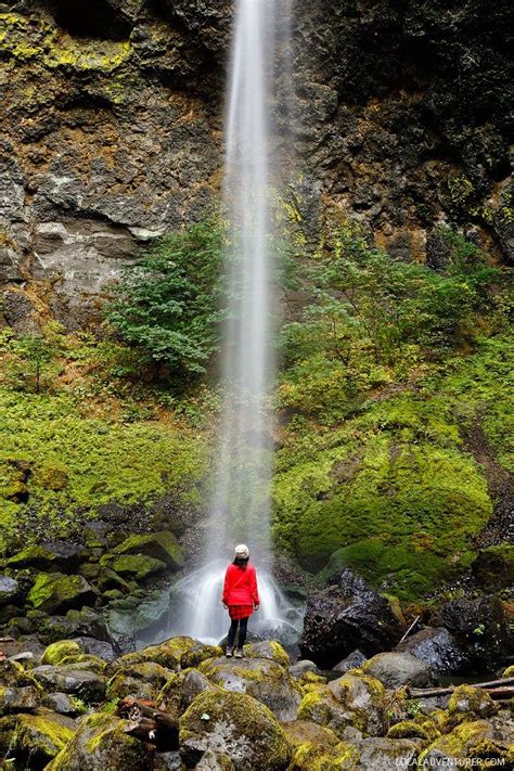 The Beautiful Elowah Falls Hike Chasing Waterfalls In Oregon Oregon