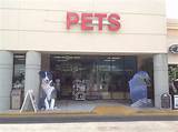 We also deliver animals world wide to all our customers. Family Pet Center - 31 Photos - Pet Stores - 6230 N ...
