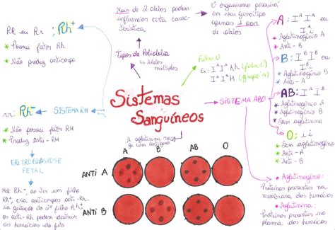 Sistema Abo Mapa Mental