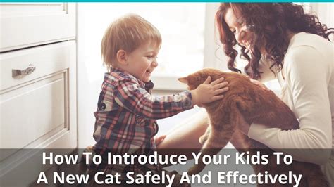 How To Introduce Your Kids To A New Cat And Vice Versa