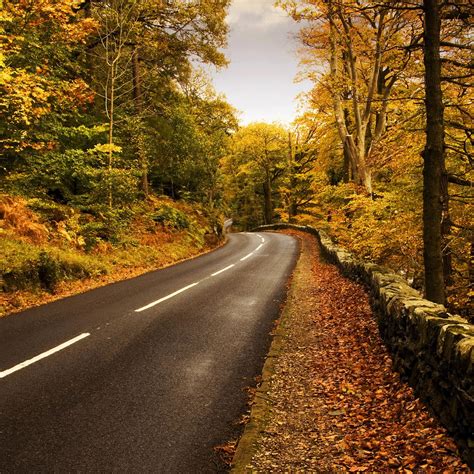 Autumn Road 2 Ipad Air Wallpapers Free Download