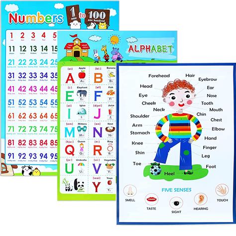 Buy 3 Pieces Educational Laminated Wall Learning Chart Number And