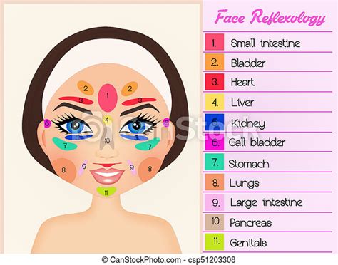 Illustration Of Face Reflexology Canstock
