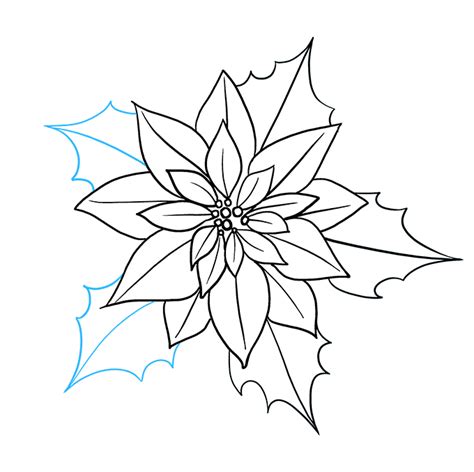 26 Poinsettia Drawing Pattern Zahirkaytlin