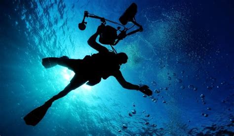 What Is Nitrogen Narcosis Diving Info