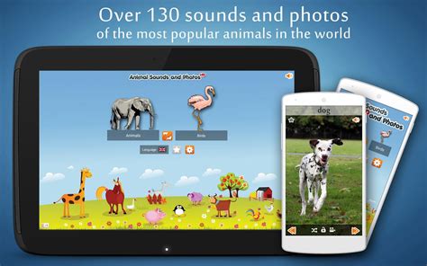 Animal Sounds Apk Download Free Education App For Android