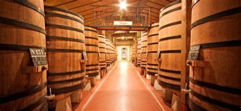 Bodegas Muga Pasi N Por El Enoturismo Destino Castilla Y Le N Winery Photo Library La Rioja