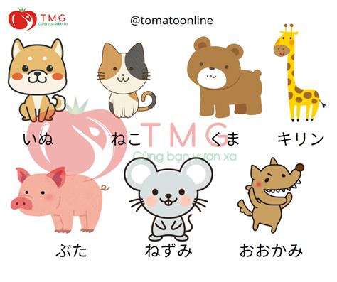 Từ vựng tiếng Nhật về các con vật