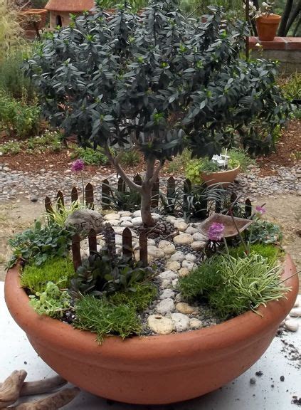 Los cactus son plantas muy fáciles de cuidar y seguro que os ayudarán las siguientes indicaciones que os damos. Ideas de jardines miniatura | Jardines, Jardinería en ...