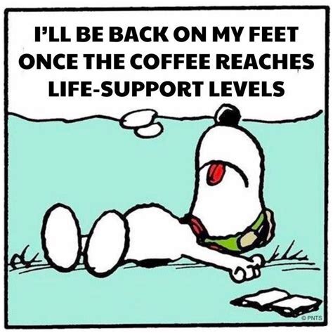 Snoopy Needs Coffee Life Support Coffeehumor In 2020 Snoopy Funny