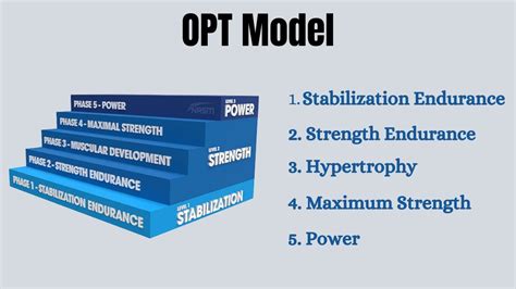 Optimum Performance Training Model Opt Model Youtube