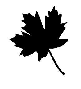 Download Maple Leaf svg for free - Designlooter 2020  ‍ 