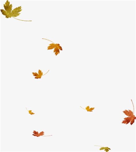 Animated Falling Leaves  Transparent Leaves Falling Free Live Wp