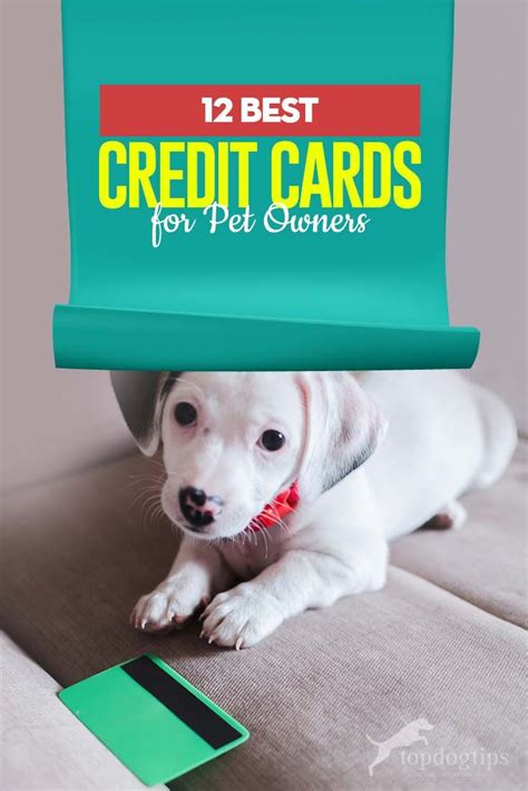 These cards alert emergency personnel that you have pets alone at home that need care. The 12 Best Credit Cards for Pet Owners | Pets, Best ...
