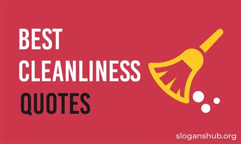 50 Best Sayings About Cleanliness To Motivate And Inspire You