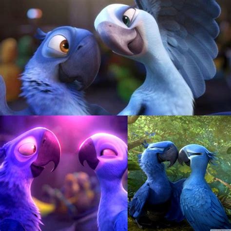 Blu And Jewel Rio Movie Animal Drawings Sketches Blue Sky Movie
