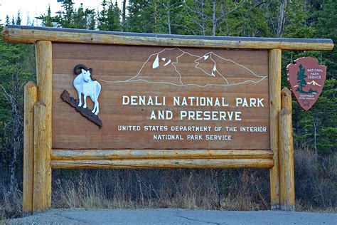 4 Absolutely Incredible Denali National Park Photos