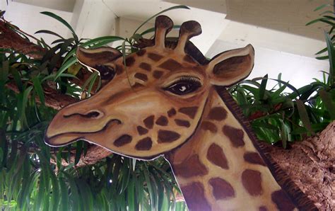 Painted Safari Animal Cutouts Safari Animals Animal Cutouts Animals