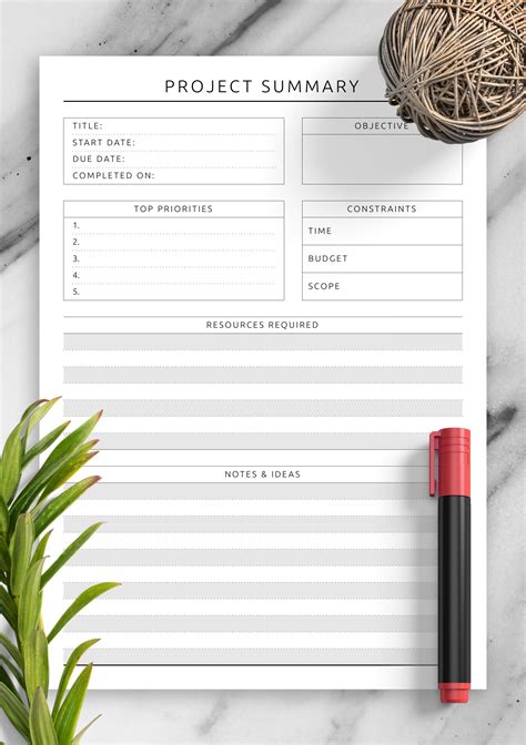 Download Printable Project Summary Template Pdf