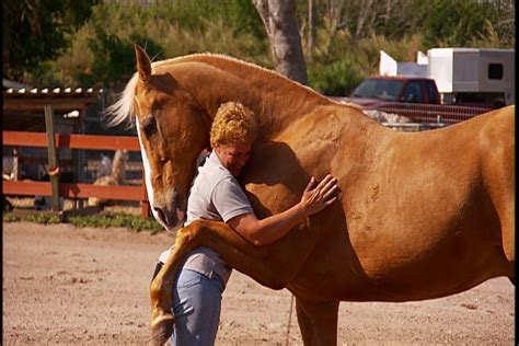 Today Is National Hug An Equestrian Day Equestrian Stylist