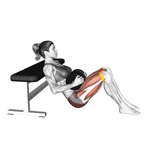 Dumbbell Hip Thrust Benefits Muscles Worked And More Inspire Us