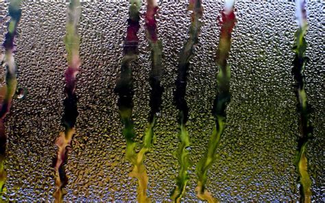 Rain Glass Window Water Drops Streams Background Hd Desktop Wallpaper