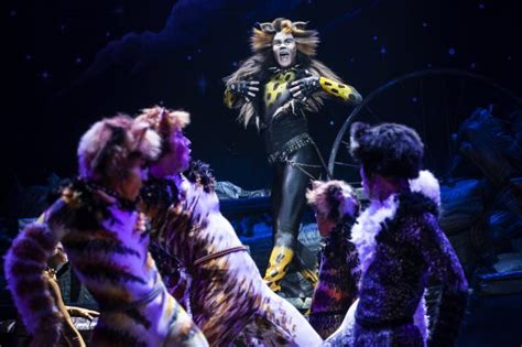 Live Theatre Review CATS THE MUSICAL Nightmarish Conjurings