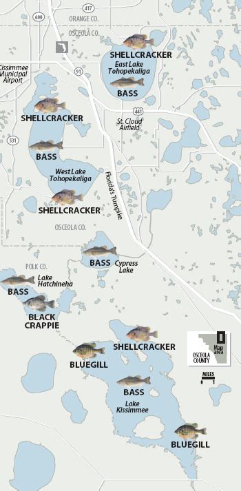 Map Where To Find Fish On The Kissimmee Chain Orlando Sentinel