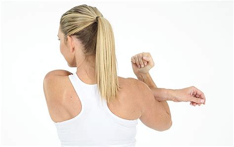 Shoulder Impingement Exercises You Can Do At Home Long 8df