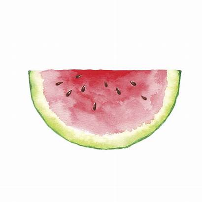 Watermelon Watercolor Clipart Painting Half Idea Paint