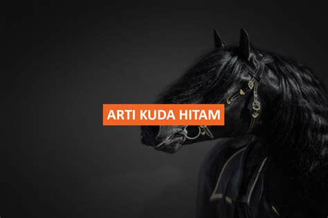 ungkapan kuda hitam artinya